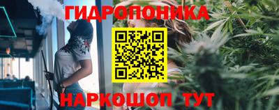 a pvp Саянск