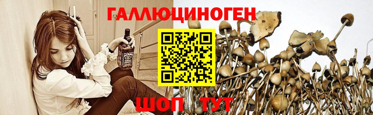 Галлюциногенные грибы Magic Shrooms Аша