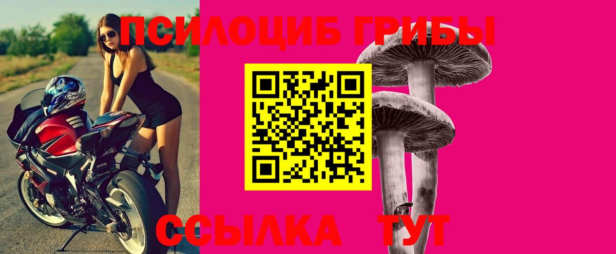 Галлюциногенные грибы Psilocybe  Псилоцибиновые грибы Psilocybine cubensis  Вход с VPN  Аша 